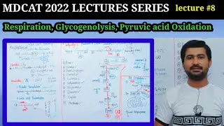 Cellular respiration | Glycolysis and pyruvic acid oxidation | Mdcat lectures series