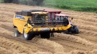 Mietitrebbia New Holland CS540 | Combine Harvester New Holland CS540