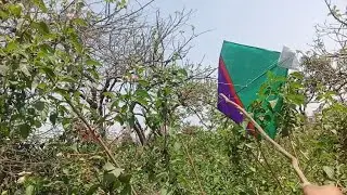 Caught kite in jungle 🌳 Kite Looting