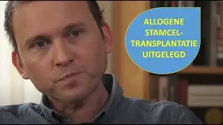 Allogene stamceltransplantatie | Uitleg, ervaringen en risico's