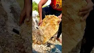 lump of earth filled with gold #gold #golddigging