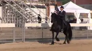 Godiva & Terry Dayton Horse Show