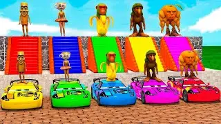 Animals cartoon video hun lion cow pig chicken elephant tiger bhallo jojo animals cartoon video game