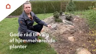 Gode r&aring;d til valg af hjemmeh&oslash;rende planter: Kend forskel p&aring; arter og sorter