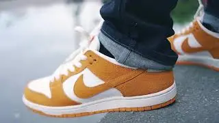 SB Dunk &ldquo;Circuit Orange&rdquo;