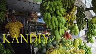 🇱🇰 Kandy Sri Lanka Vegetable fruits market Experience 🍌🍇 #kandysrilanka