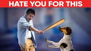 16 Surprising Human Behaviors That Dogs Absolutely Hate