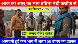 आज का आलू का भाव ठठिया मंडी कन्नौज से आमदनी हुई कम भाव में आया 50 रूपए का उछाल Aalu Ka Bhav