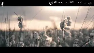 Isotopia - Destiny (Your Melodies) #emotional #trance