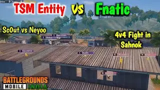 Tsm Entity vs Fnatic 4v4 Fight in Sahnok | TSM vs FNC | PME Highlight |