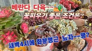 새벽부터 부지런하넹(약 부작용인가?) ㅋㅋㅋㅋ🤣😄 