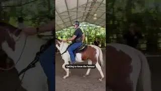 Meeting the horses | Healing With Horses 2023