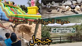جولة في حديقة الحيوانات و التسلية بالعوانة ( جيجل) #vlog #jijel