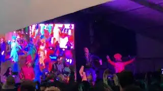 Amstelveen Diwali Festival 2019 Snapshot
