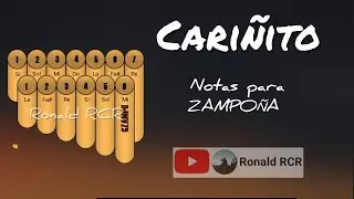 Cari&ntilde;ito ◇ notas para ZAMPO&Ntilde;A