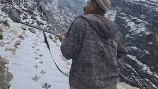 Searching for partridges in a snowy nature ❄️🦃