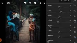 HOW TO EDIT A RAINY DARK MOOD EFFECTS ON LIGHTROOM/Lightroom/Lightroom tutorial/professional
