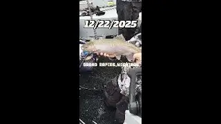 Winter Steelhead Fishing 6th Street Dam