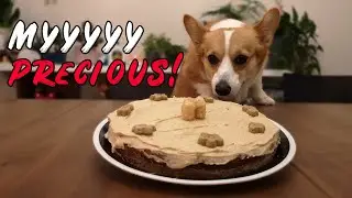 Pumpkin Dog Cake - Super EASY Grain Free Cake for Dogs