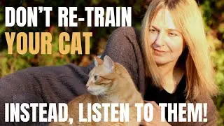 How to Become a Cat Whisperer - part 2  |  The 3 common cat problems & solutions to odd cat behavior