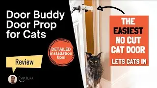 Установка и обзор опоры для двери для кошек &laquo;Door Buddy&raquo;: гениальный трюк, который нужен каждому ...