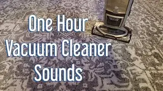 One Hour Vacuum Cleaner Sound - Floor POV - Shark Vacuum *Relax - Focus - Sleep*
