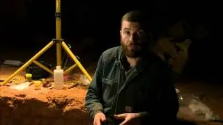 Cave: Searching for Australia's Forgotten Beasts - Update: Possible eagle