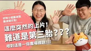這麼突然的上片！難道是第三胎？？？【腦波弱日常】EP64