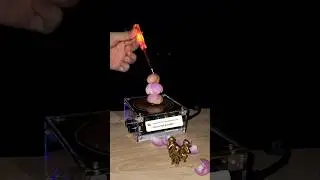 🌺 Wireless electricity vs Flowers, What is next? #experiment #teslacoil #plant #physics