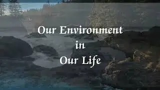 OUR ENVIRONMENT IN OUR LIFE || NATURE MOMENT || MINI NATURE VIDEOS ||