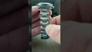 Q Timex Chronograph One Year On The Wrist Panda