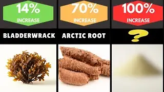 Top 89 Natural Testosterone Boosting Foods🔥 | Natural Ways to Increase Testosterone