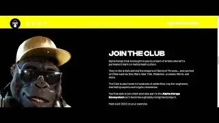 Alpha Kong NFT Marketing &ndash; how to SELL OUT your NFTs
