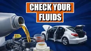Used Car Fluids Explained Simply