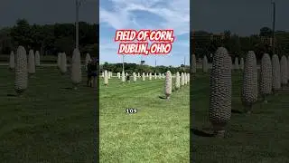 #FieldOfCorn #DublinOhio #SamFrantz #farming #travel #history #roadside #Ohio #FrantzPark #vlog