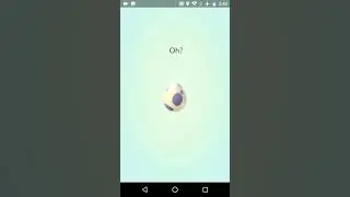 POK&Eacute;MONGO - 8 10K EGG HATCH DURING 2X STARDUST/XP!!!