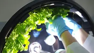 Australian scientists prepare for NASA&rsquo;s 2030 moon settlement with AI space farms