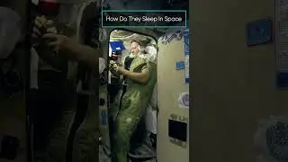 How Do They Sleep In Space #shorts