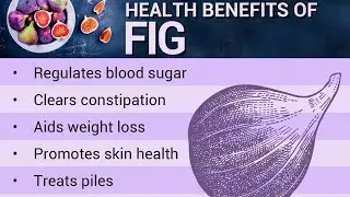 The Power of Figs: Ancient Superfruit for Health & Energyانجیر: میوۀ فوق&zwnj;العاده قدیمی برای 