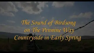 Pennine Way Countryside Ambience in Spring For Stress Relief, Relaxation, Sleep, Meditation
