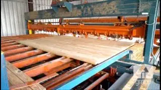 Comact Trimmer and Sorter Line