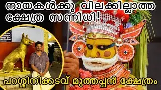 ഇവിടെ ദൈവത്തിന് തുണയായി നായകൾ| എല്ലാ ദിവസവും തെയ്യം കെട്ടിയാടുന്ന ക്ഷേത്രം| #parassinikadavu