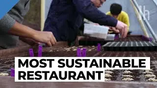 Food Tips From the Most Sustainable Restaurant in the World