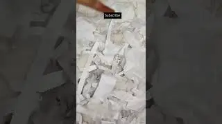 ASMR#paper#asmr#asmrsounds#asmrtingles#oddlysatisfying#satisfying#sound#crush#relax#relaxing#shorts