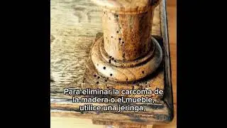 Eliminar la CARCOMA #carcoma #par&aacute;sitos