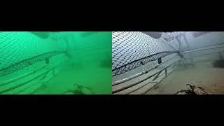 Minimal Color Loss and Locally Adaptive Contrast Enhancement for Underwater Image Enhancement