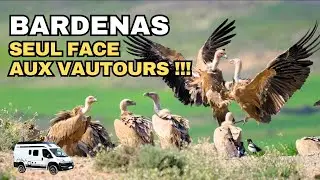 #3 BARDENAS Incroyable rencontre ! #vanlife #roadtrip #bardenas