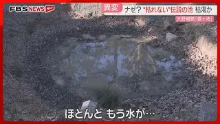 【異変】「枯れない」という伝説の池　なぜか水たまり程度に　周辺にイノシシが荒らした跡　福岡