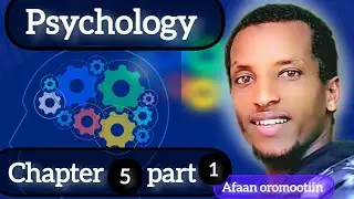 psychology chapter 5 part 1 Afaan oromootiin karaa baay'ee salphaa ta'een kan qophaa'dha.