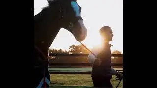 Horse Welfare is paramount &ndash; Be a guardian!